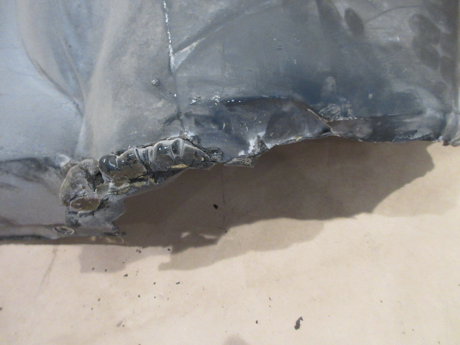 Ferrari 308  RH Right Front Stone Gravel Guard LHD GTS P/N 60308301