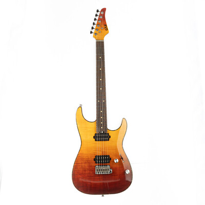 EART Guitar EYP-Elite,Roasted Mahogany+Flame Maple Body,22 Stainless Steel Frets