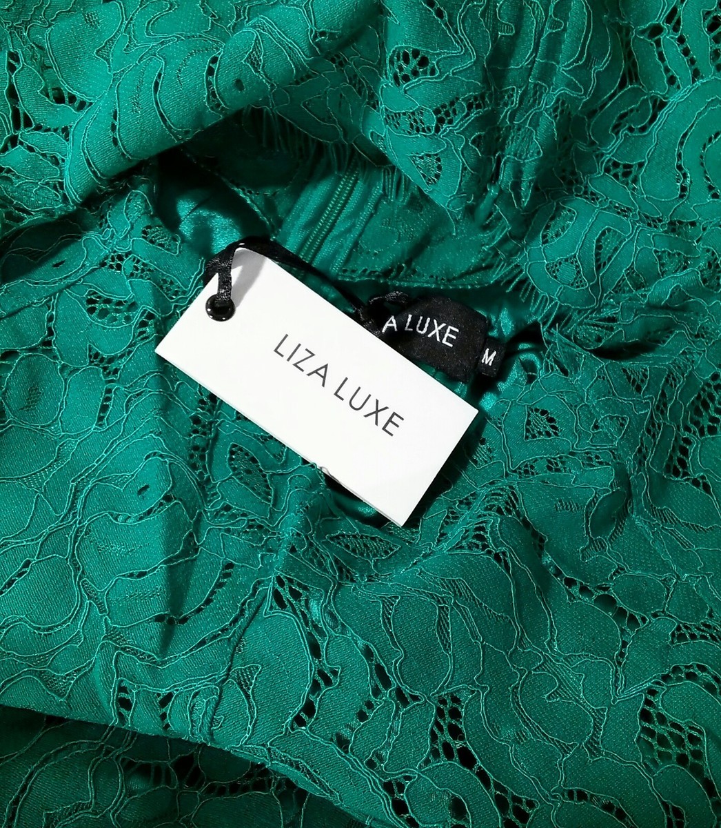 Liza Luxe Modcloth Lace Dress Spearmint Sheath Floral Medium Sleeveless |  eBay