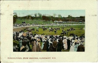 Agric. Showgrounds Claremont West Australia. Pub Falk & Co. Vintage Postcard