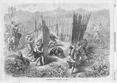 INDONESIEN Eine Tigerjagd in Java - antiker Druck 1862