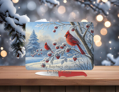 Cardinal 11 x 8 Tempered Glass Cutting Board~FREE shipping~your CHOICE~Gift