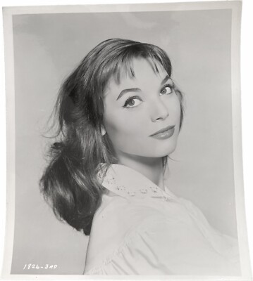 Elsa Martinelli Vintage Movie Press Release Photo 8x10