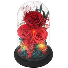 Women Gifts Ideas for Valentines Day, Preserved Forever Rose Gift with Necklace.