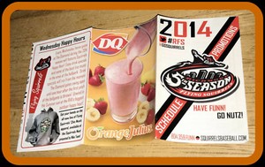 2014 RICHMOND FLYING SQUIRRELS DQ BASEBALL POCKET SCHEDULE EX+NM CONDITION