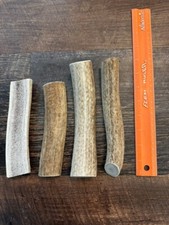 6-8" Split Elk Antler Dog Chews. Grade B 1lb bag
