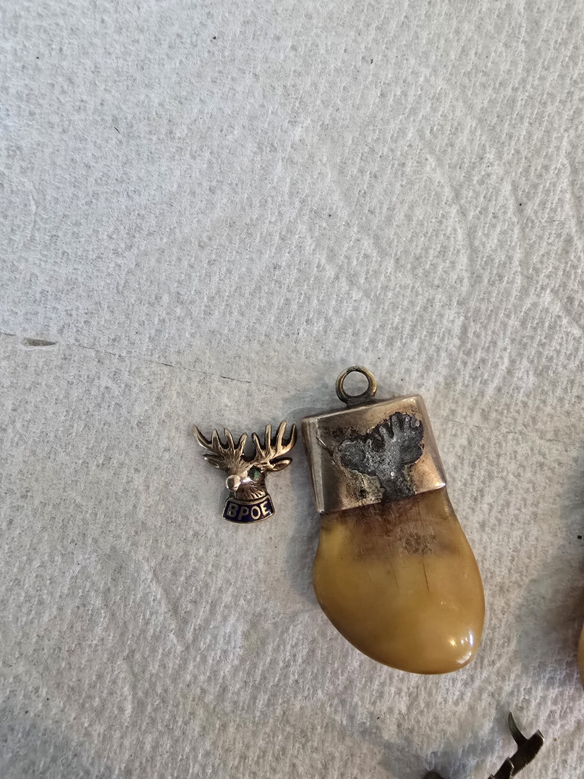 Picture 10 of 22