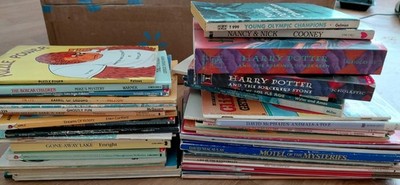 Lot of 54 Scholastic Publishing books (less than $1 each) Titles inside