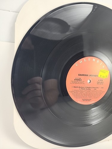 Sabrina Johnston Peace In The Valley Crystal Waters Gypsy Woman Vtg Vinyl 1992 - Foto 14 di 15