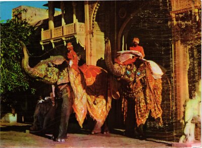 CPM Elephant ride INDIA (1182445)