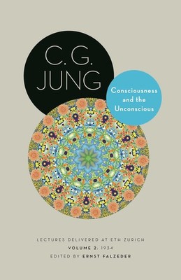 Consciousness and the Unconscious: Lectures Delivered at ETH Zurich, Volume ...