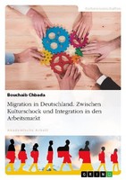 Migration In Deutschland. Zwischen Kulturschock Und Integration In Den Arbeitsma