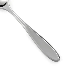 Stanley Roberts CANEEL BAY Stainless Crown Glossy Silverware CHOICE Flatware