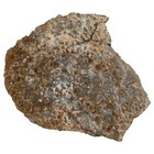 Picture 4 of 5