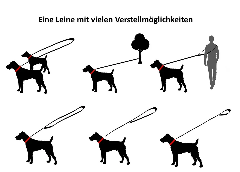 Hundeleine Biothane kleine Hunde / große Hunde verstellbar SILBERNER Haken - Bild 4 von 4
