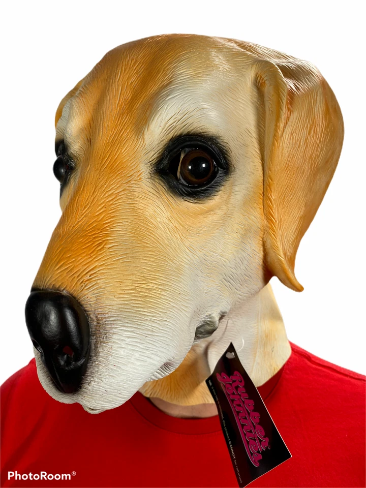 Labrador Golden Masque Latex Animal Chien Accessoire Costume Canin Lab Chiot - Photo 3/4
