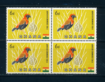 『 Twiga 4 and birds 』 by Mwamedi 59*59cm Twiga 4 and birds 』 by Mwamedi 59*59cm Twiga Compact Reach