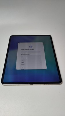 Apple iPad Pro 13'' M4 defekt iCloud Sperre Ersatzteillager 512 GB Cellular A2926