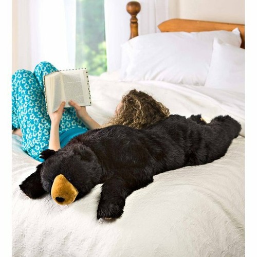 shar pei teddy