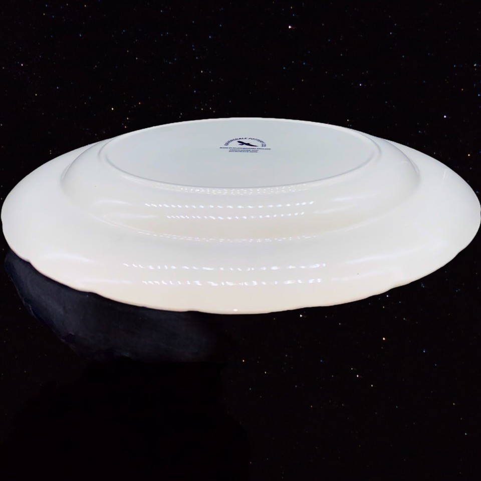 Ravensdale Pottery LTD Staffordshire England Exotic Bird Black 11" Oval