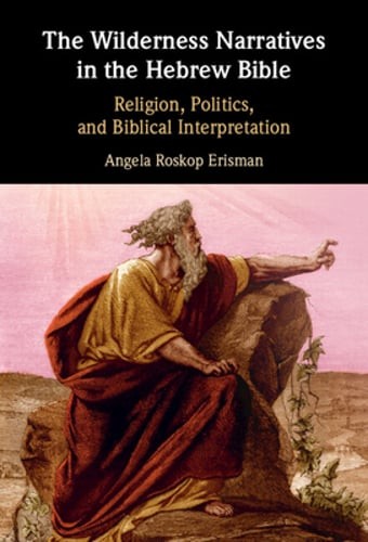 The Wilderness Narratives in the Hebrew Bible by Angela Roskop Erisman: New - Picture 1 of 1