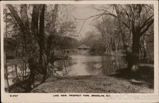 Brooklyn, NY New York Lake View, Prospect Park 1911 Original Vintage RPPC