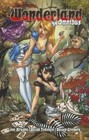 Wonderland Omnibus by Raven Gregory, Ralph Tedesco, Joe Brusha (Paperback, 2014)