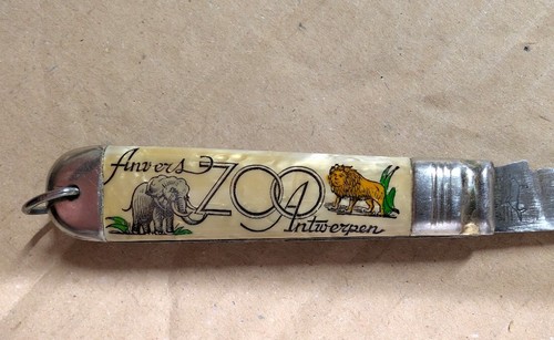 Canif 1 lames publicitaire Zoo d'anvers Nacre 7 cm an' 50-60' - Picture 2 of 4