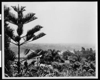 Botanic Gardens showing structure amid cluster of trees California Old Photo