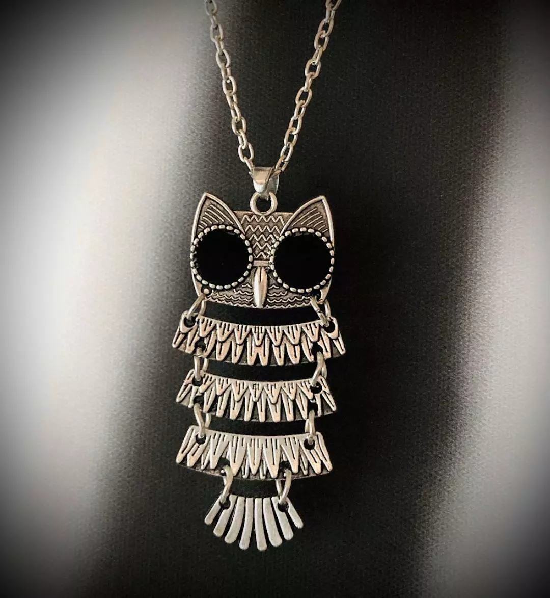Owl Necklace Silver Womens Dangle Chain Jewelry Big Eyes Hootie