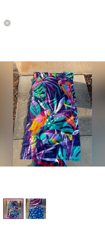 Beach Towels 2 