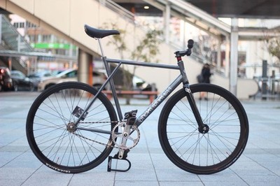 Breakbrake17 Transfer Bike Frame Size L USED | eBay