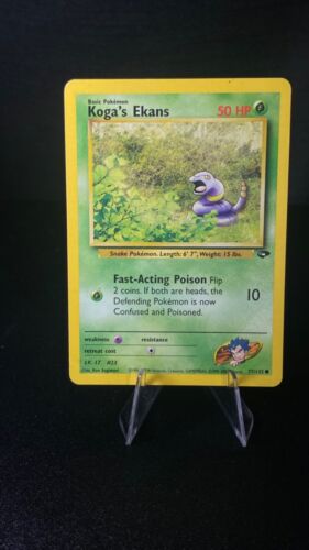Pokémon TCG - Fitnessstudio Challenge - Wähle deine Karte! - - Bild 71 von 153