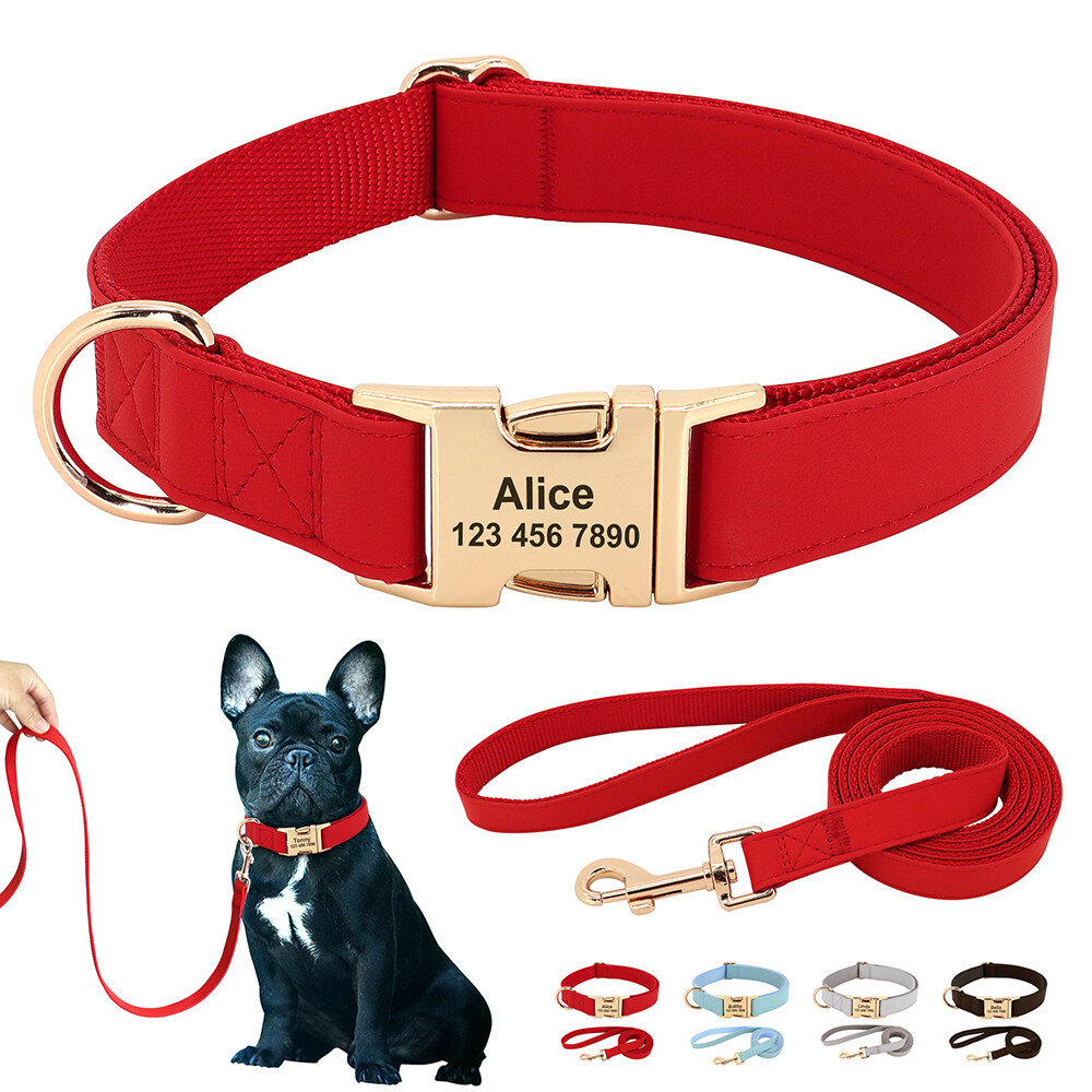 Personalized Dog Collar Leash Set Nylon and Leather Free Engraved Name  Buckle
