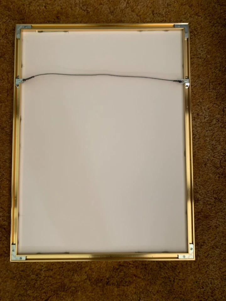 Impresión de portada de periódico enmarcado de la Serie Mundial de los Tigres de Detroit 1984 de colección Foto 4 de 4