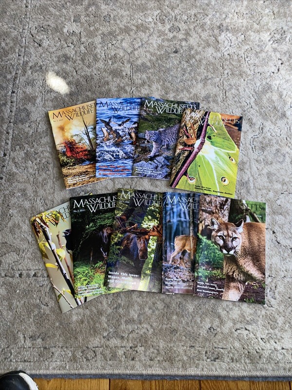 Used Lot Massachusetts Wildlife Annual 2014  2015 2016 Game Animal Magazine Euc