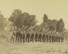 Federal 22nd New York State Militia Co. G Harpers Ferry 8x10 US Civil War Photo