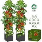 2 Pack Tomato Planter w Trellis 57 Self Watering Raised Garden Bed