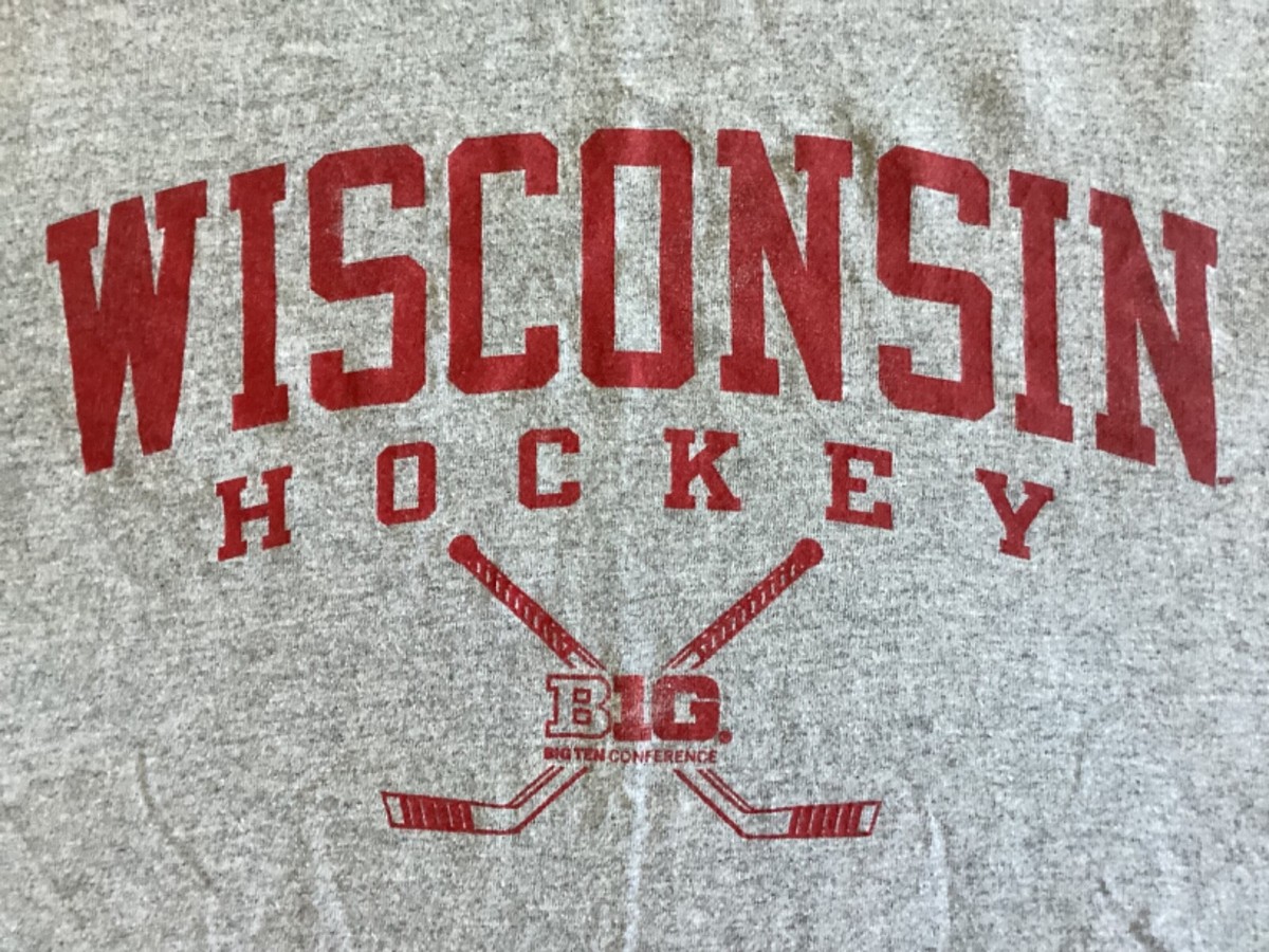 Wisconsin Badgers Hockey Champion Men's Graphic T-Shirt Small | eBay