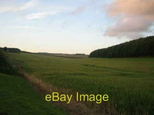 Photo 6x4 Farmland, Manor Farm, Chilmark These are wheat fields of Manor  c2007