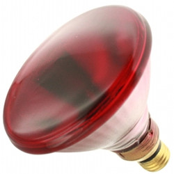 (2) Replacement Bulb for PHILIPS 100PAR/R 120V 100W 120V