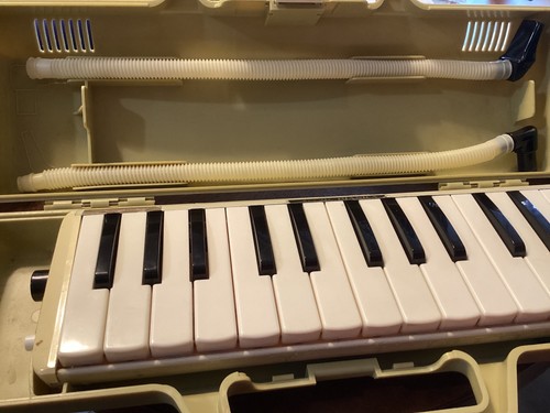 Vintage Artist. Ltd Pianica-good condition