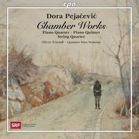 Chamber Works Von Triendl,Oliver | CD | Zustand Neu