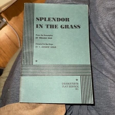 Splendor In The Grass First Edition, First Printing 1966 Mint 