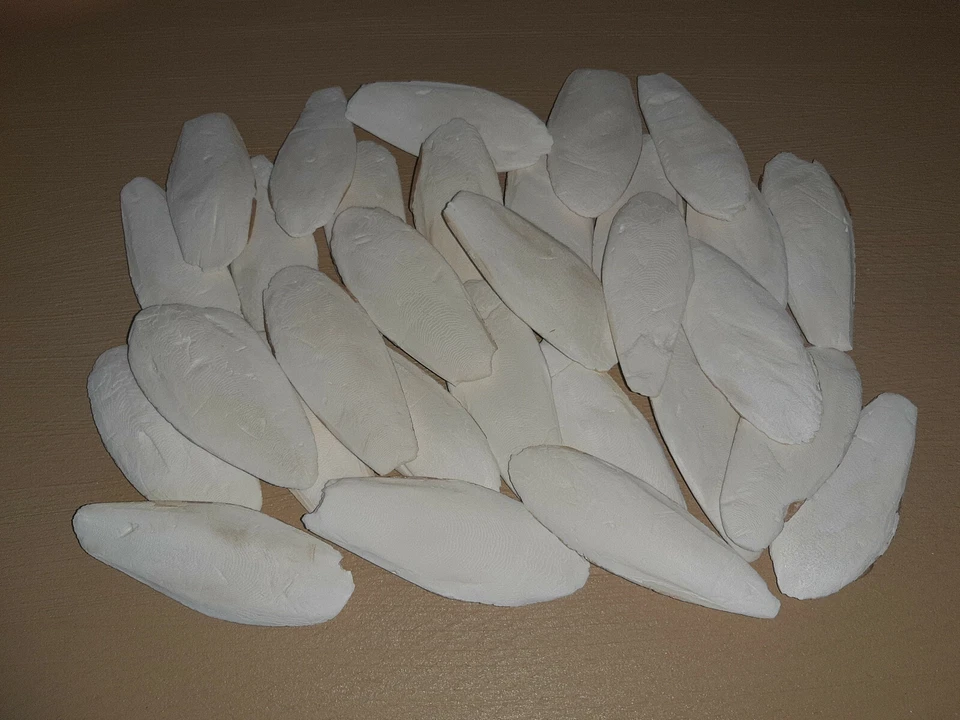 MARKENLOS 30 Sepiaschalen ( 10 - 12cm / ca. 225 Gramm) - Sepia, Sepiaschale - Vögel