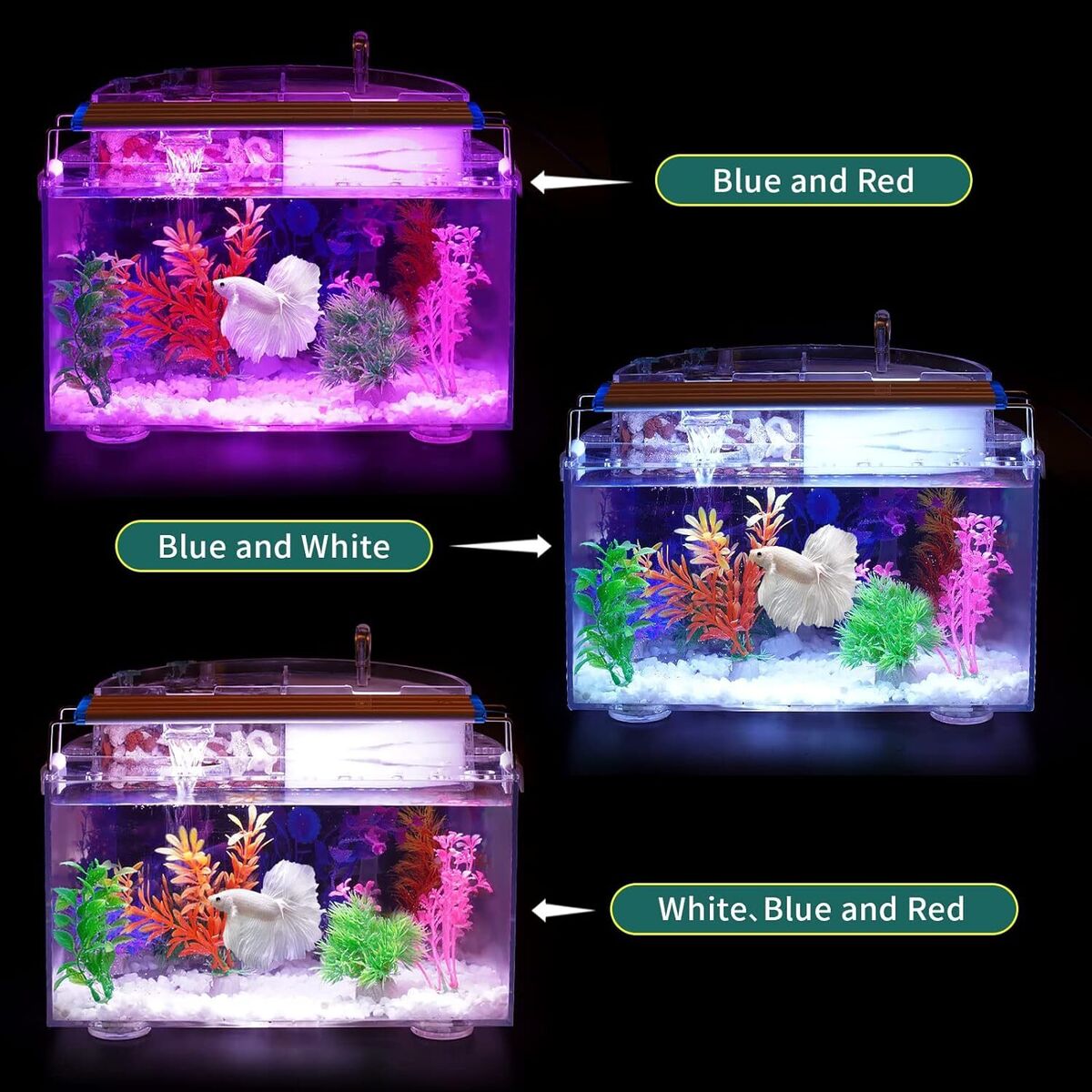 Betta Fish Tank Kit, 3 Gallon Aquarium Self-Cleaning with LED