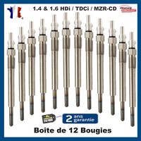 12X GlüHkerze VorglüHen FüR Berlingo C1 C2 C3 C4 C5 Jumpy Nemo 1.4 1.6 HDI 11 V