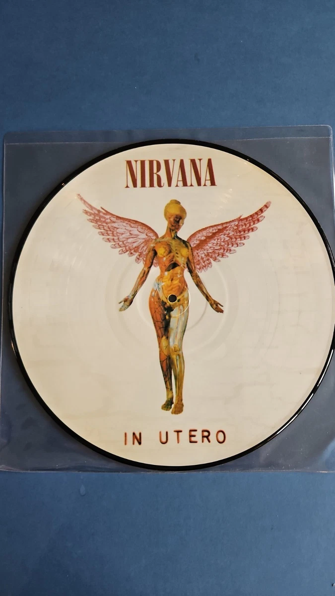 NIRVANA ニルヴァーナ アナログLPレコード(ピクチャーディスク) 25+ Nirvana Picture Disc Vinyl Records for sale | Updated Oct 2026