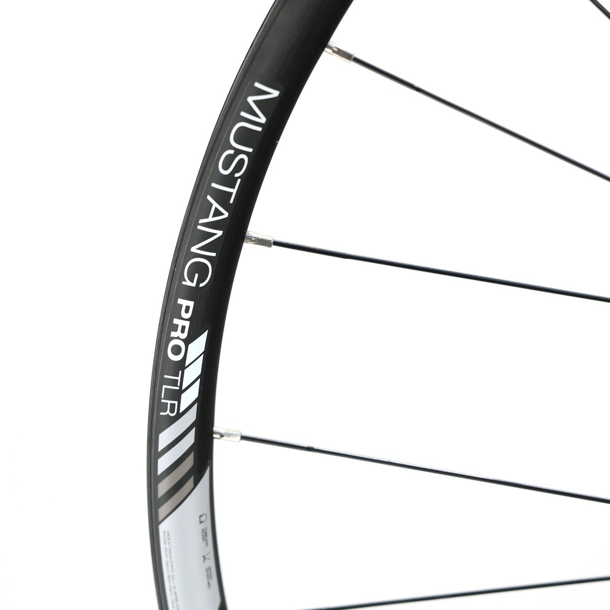 Bontrager Mustang Pro TLR Rear Wheel | 29