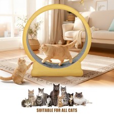 TOYANDONA Cat Exercise Wheel Large Cat Treadmill Wheel for Indoor Cats 52 inch